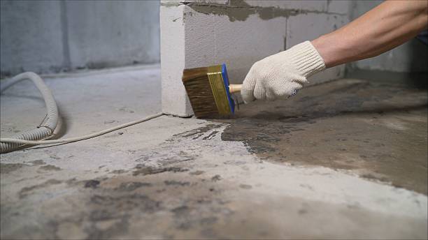 24/7 Emergency Crawl Space Encapsulation experts in Holly, MI